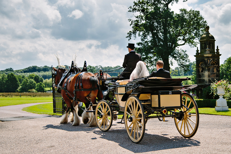 Horse and carriage ride for the bride and groom