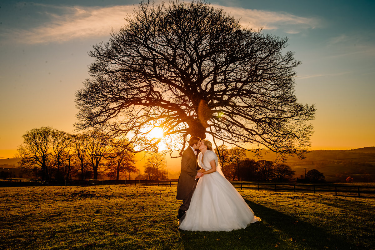 Sunset at Heaton House Farm in front of the sycamore tree