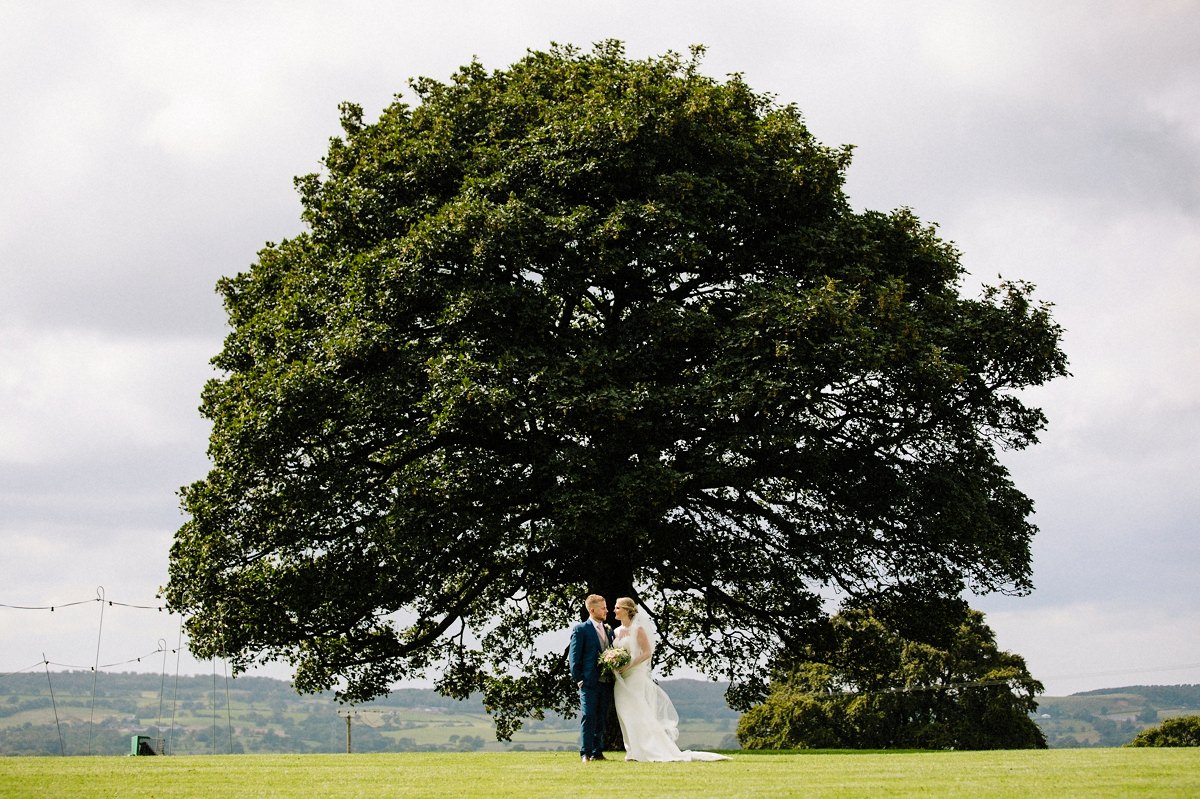 The Sycamore tree at Heaton House Farm