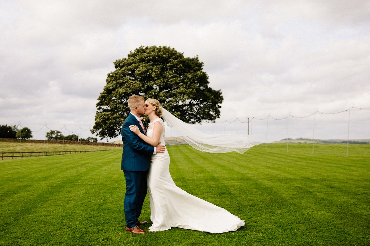 Heaton House Farm Sycamore tree